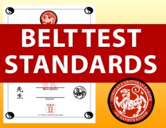 Complete Shotokan Karate Belt Test Standards and Feedback Loop