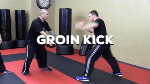 groin kick
