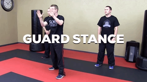 guard stance
