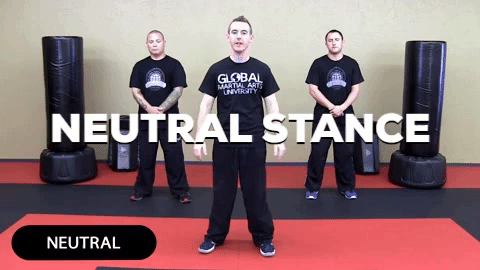 neutral stance